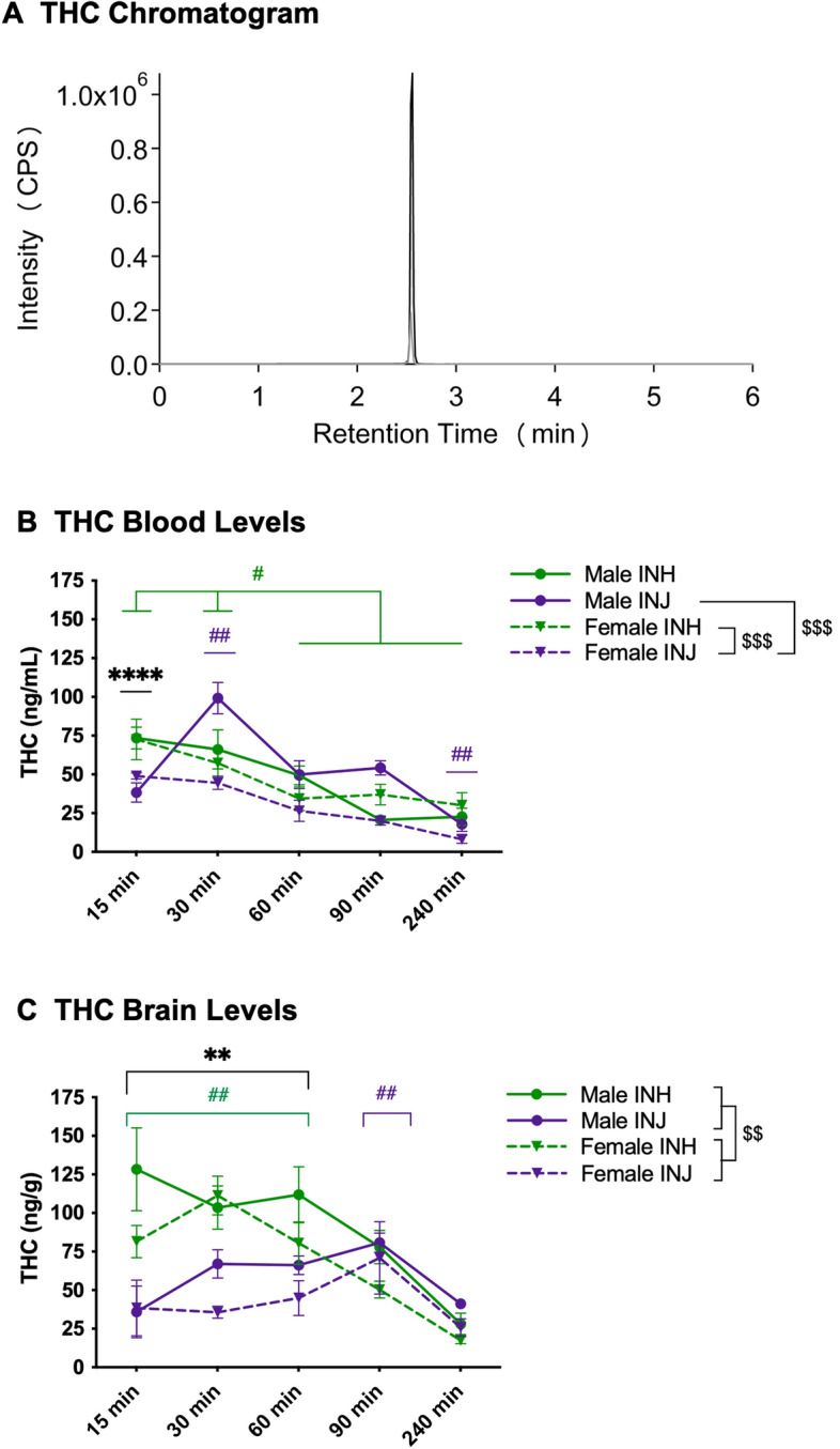 THC Chromatogram and levels in blood and brain. (A) LC-MS Chromatogram: THC (black line) and THC-d3 (grey line) overlapping peaks at 2.7 min. (B) Blood levels: data are presented as mean ± SEM; n = 5–6 for each group. Presence of (*) indicates an administration difference with INH > INJ at 15-min at ****p < 0.0001. Presence of (#) indicates a timepoint difference with green and purple lines indicating an INH and INJ difference respectively; specifically, INH-15 > all timepoints and INH-30 > INH-60/90/240 at #p < 0.05, whereas INJ-30 > all timepoints and INJ-240 < all timepoints at ##p < 0.01. Presence of ($) indicates a sex difference; specifically, female-INH > female-INJ at $$$p < 0.001 and male-INJ > female-INJ at $$$p < 0.001). (C) Brain levels: data are presented as mean ± SEM; n = 5–6 for each group. Presence of (*) indicates an administration difference with INH > INJ at 15, 30, and 60-min at **p < 0.01. Presence of (#) indicates a timepoint difference with green and purple lines indicating an INH and INJ difference respectively; specifically, INH-15, 30, and 60 > INH-90 and 240 at ##p < 0.01, whereas INJ-90 > INJ-15 and 240 at ##p < 0.01. Presence of ($) indicates a sex difference with males > females at $$p < 0.01.