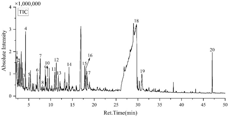 The Py-GC/MS TIC chromatogram of the yellow-greenish fiber.