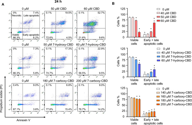 Induction of apoptosis by CBD, 7-hydroxy-CBD, and 7-carboxy-CBD in TM3 cells. TM3 cells were exposed to DMSO (0 µM), 40–60 µM CBD, 40–60 µM 7-hydroxy-CBD, or 140–200 µM 7-carboxy-CBD for 24 h. The increase in the percentage of cells stained positive for Annexin V was measured as an indicator of apoptosis. A Representative scatter plots display the distribution of cells based on Annexin V (X-axis) and PI (Y-axis) staining. B Quantitation of results from (A); the bar graph shows the mean percentage of viable and early and late apoptotic cells ± SD (n = 3). ^, significant concentration-dependent linear trend. *, p < 0.05 and significantly different from the control group