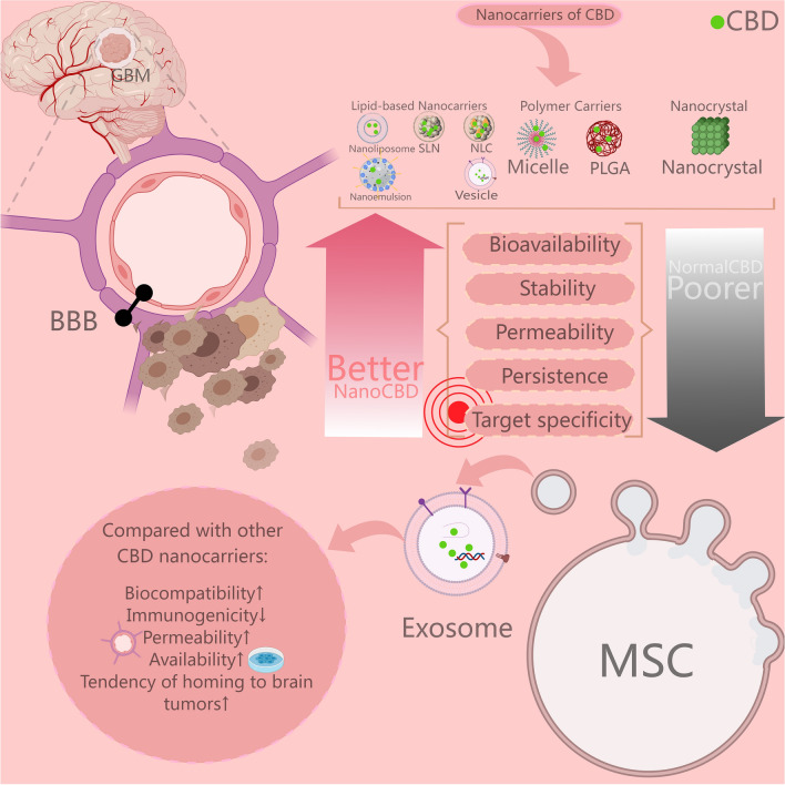 Nanoparticulate Formulations of CBD. The nanoparticulate formulations of CBD are primarily categorized into lipid nanoparticles, polymer nanocarriers, and nanocrystals. Compared to conventional CBD’s formulations, these nanoparticulate versions boost significantly enhanced solubility and stability in bodily fluids, superior biodistribution, increased bioavailability, and improved penetration through the blood–brain barrier. Notably, exosomes derived from mesenchymal stem cells, as novel drug nanocarriers, offer considerable advantages due to their ease of acquisition and preparation, exceptional biocompatibility, superior permeability through biological barriers, and enhanced active and passive targeting capabilities, making them a highly promising vehicle for drug delivery. This figure is created with MedPeer (medpeer.cn)