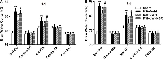 Brain water content after intracerebral hemorrhage (ICH). Brain water content in ipsilateral basal ganglia at 24 h (A) and 72 h (B) after ICH. Ipsi-BG, ipsilateral basal ganglia; Ipsi-CX, ipsilateral cortex; Cont-BG, contralateral basal ganglia; and Cont-CX, contralateral cortex; Cerebel, Cerebellum; Vehi, Vehicle; JWH, JWH133; SR, SR144528. Values were expressed as the mean ± SD, n = 6 in each group. **P < 0.01 compared with sham group; #P < 0.05 compared with ICH + Vehi group; &P < 0.05 compared with ICH + JWH group.