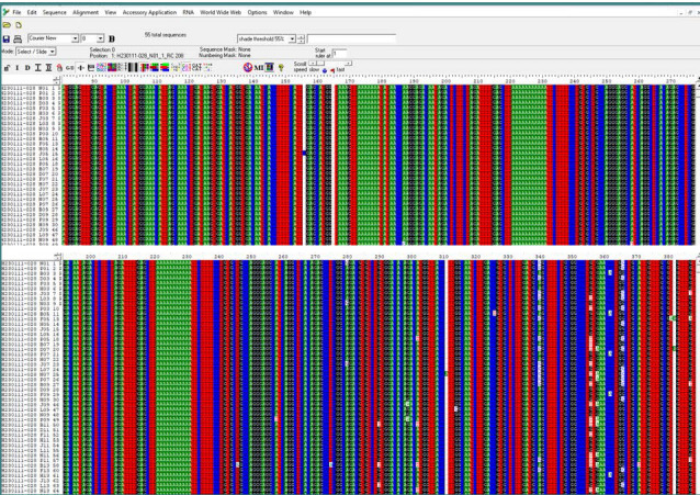 The BioEdit program sequence alignment findings for the Homo sapiens cannabinoid receptor 1 (CNR1) transcript variant 10 fragments confirmed the compatibility of sample sequences with a reference sequence from the Gene Bank