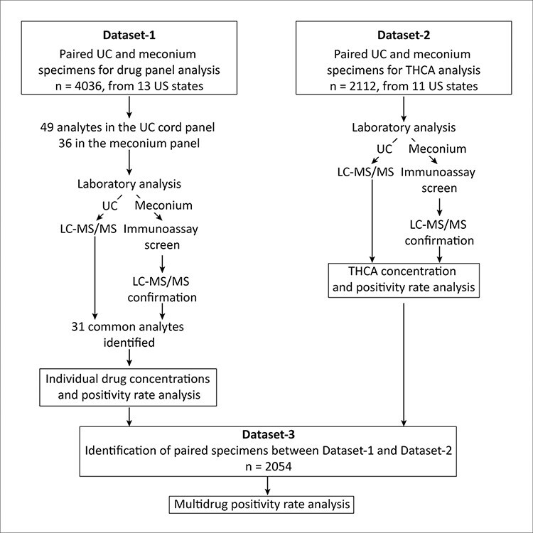 Flow chart depicting specimen selection and study design. Paired UC and meconium specimens were identified for drug panel (Dataset-1) and THC-COOH, Dataset-2 analysis. Subsequently, Dataset-3 was created by identifying common specimens from Dataset-1 and Dataset-2 to perform multidrug pattern analysis. A total of 32 analytes were measured in both specimen types for a side-by-side comparison.