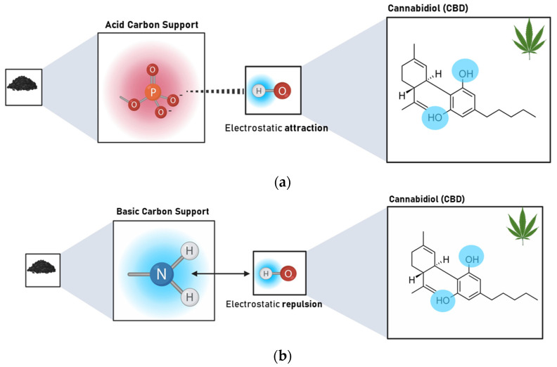 Representation of the interaction type between (a) acidic carbon supports (PZC < 3) modified with P and NP and CBD and (b) basic carbon supports (PZC > 7) unmodified and modified with N and CBD at the pH of the composite formation (pH = 6.5).