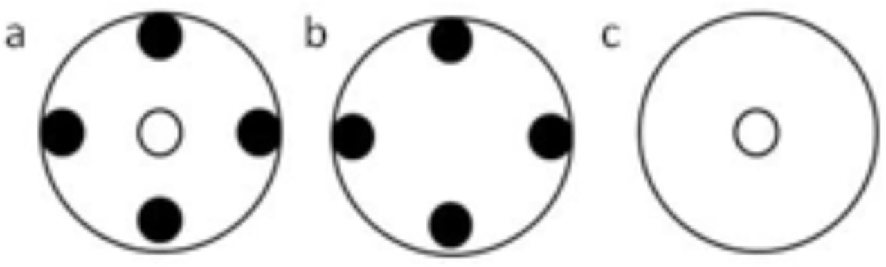 Layout of plants in neighbourhood design experiment.Large circles represent pots. Filled circles represent A. tuberculatus plants and open small circles represent maize plants.