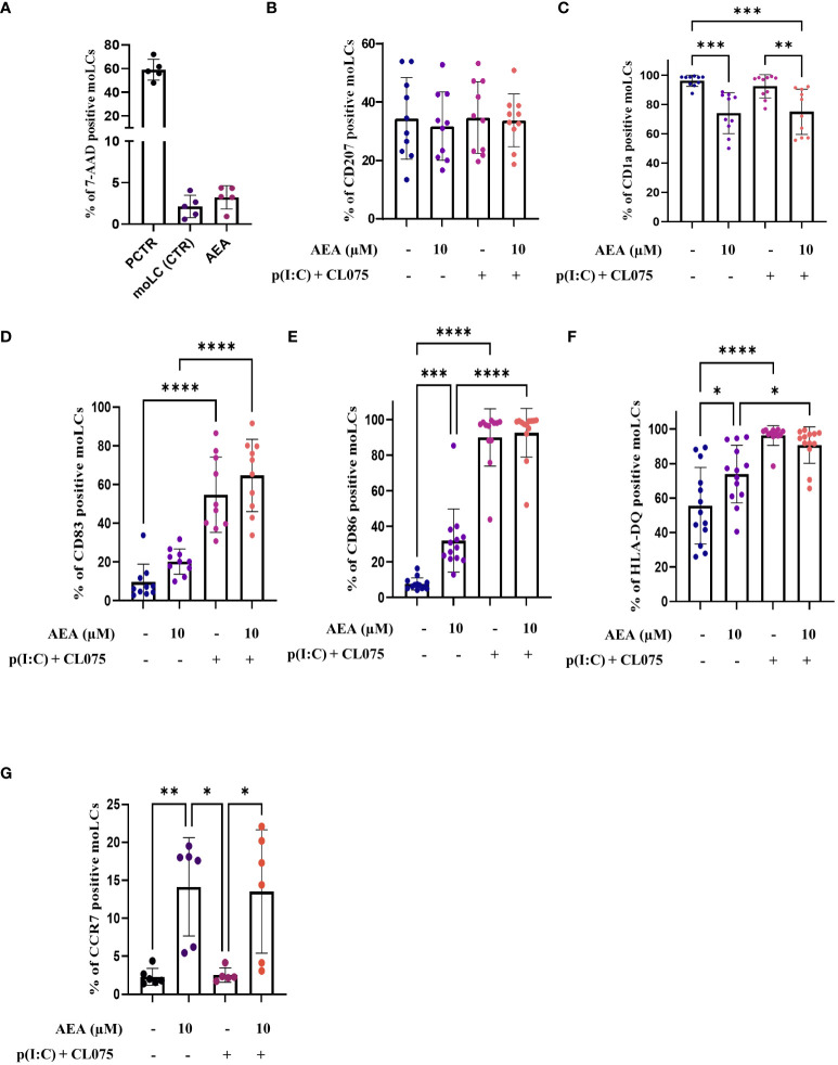 Anandamide decreases CD1a expression, increases maturation markers on moLCs without affecting their viability. Monocytes were cultured in the presence of GM-CSF, TNFα, TGFβ and IL-4 (for 48 hrs) for 5 days to generate moLCs in the presence of 10 µM AEA, vehicle (0.1 v/v% absolute ethanol). Maturation was induced on day 4 by p(I:C) (20 µg/ml) and CL075 (0.5 µg/ml), both applied for 24 hours. N≥10 mean ± SD. Percentage of cells positive for 7-AAD (A), CD207 (B), CD1a (C), CD83 (D), CD86 (E), HLA-DQ (F), CCR7 (G) following the indicated treatments. *p < 0.05, ** p < 0.01, ***p < 0.001, **** p<0.0001 as indicated (determined by repeated measures one-way ANOVA). Individual donors are represented by symbols. 7-AAD, 7-aminoactinomycin; PCTR, Positive control; cells damaged by freezing (30 min), AEA, N-arachidonoylethanolamine, anandamide; CL075, TLR7/8 agonist; p(I:C), Polyinosinic:polycytidylic acid, TLR3 agonist.