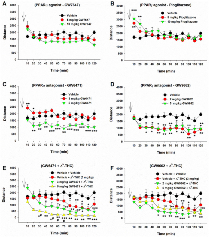 Effects of Δ9-THC and/or PPAR agonists or antagonists on open-field locomotion. A/B: Systemic administration of the PPARa agonist GW7647 failed to alter open-field locomotion (A), while the PPARg agonist pioglitazone produced a transient increase in locomotion (B). C/D: Systemic administration of PPARa antagonist GW6471 (C) or PPARg antagonist GW9662 (D) alone dose-dependently inhibited open-field locomotion. E/F: Pretreatment with GW6471 enhanced Δ9-THC-induced reduction in locomotor activity (E), while GW9662 pretreatment did not Significantly alter Δ9-THC action in locomotion (F). n = 8/group. * p<0.05, ** p<0.01, *** p<0.001, compared to the vehicle group. # p<0.05, compared to the (Vehicle + Δ9-THC) group (E).
