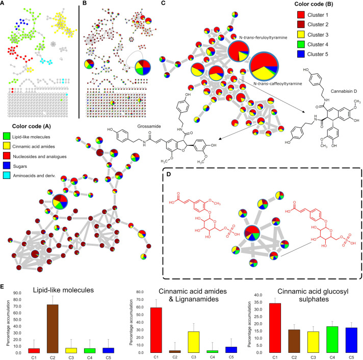 Mining of the hemp seed metabolome by Feature Based Molecular Networking (FBMN) of LC-MS data. (A) FBMN showing the chemical class assigned to each network through the MolNetEnhancer analysis of the positive ion mode LC-MS data; (B) FBMN showing pie charts representing the proportional accumulation of each node (representing m/z values) in the five groups identified by HCAbp ( Figure 1C ). The node size is proportional to the ion intensity. (C) Amplified nodes of cinnamic acid amides and lignanamides and lipid-like molecules detected in the positive ion mode dataset. (D) Amplified nodes of a previously unreported chemical class in hemp “Cinnamic acid glycosyl sulphates” detected only in the negative ion mode. (E) Bar charts summarizing the percentage accumulation of lipid-like molecules, cinnamic acid amides and lignanamides and cinnamic acid glycosyl sulphates in the five HCAbp clusters.