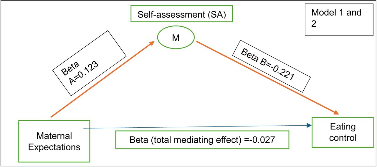 Mediating effect of Self-Assessment (SA) dimension on eating control in terms of maternal expectations (Red bold arrows illustrate the significant relationships)