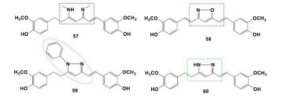 Chemical structures of the aza-curcumin analogues 57-60 with remarkable antagonist effects on AMPA receptors.