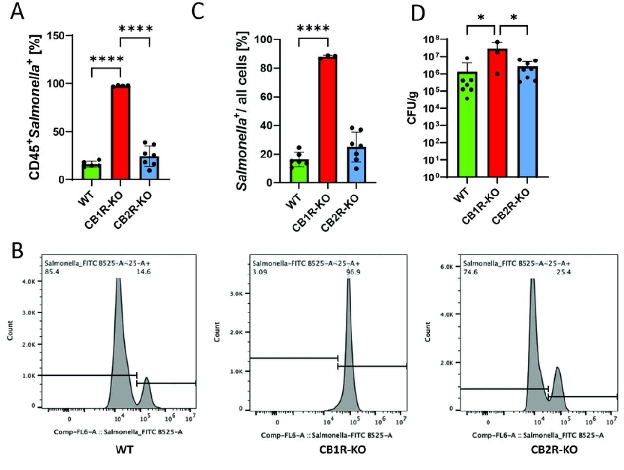 Influence of cannabinoid receptors on Salmonella Typhimurium dissemination in C57BL/6 mice.(A-C) Flow cytometry analysis of splenic cells from C57BL/6 mice infected with Salmonella Typhimurium, distinguishing CD45+ Salmonella+ cells to assess bacterial dissemination. (A) presents data from CD45+ cells, while (B) expands the analysis to all live cells, mapping the systemic spread of Salmonella in CB1R and CB2R knockout (CB1R-KO and CB2R-KO) mice compared to controls. (D) Colony-forming unit (CFU) plating of liver and spleen tissues from infected mice to quantify viable Salmonella loads. One-way ANOVA was used for statistical analysis. Statistical significance is indicated by asterisks: *p < 0.05, ****p < 0.0001.