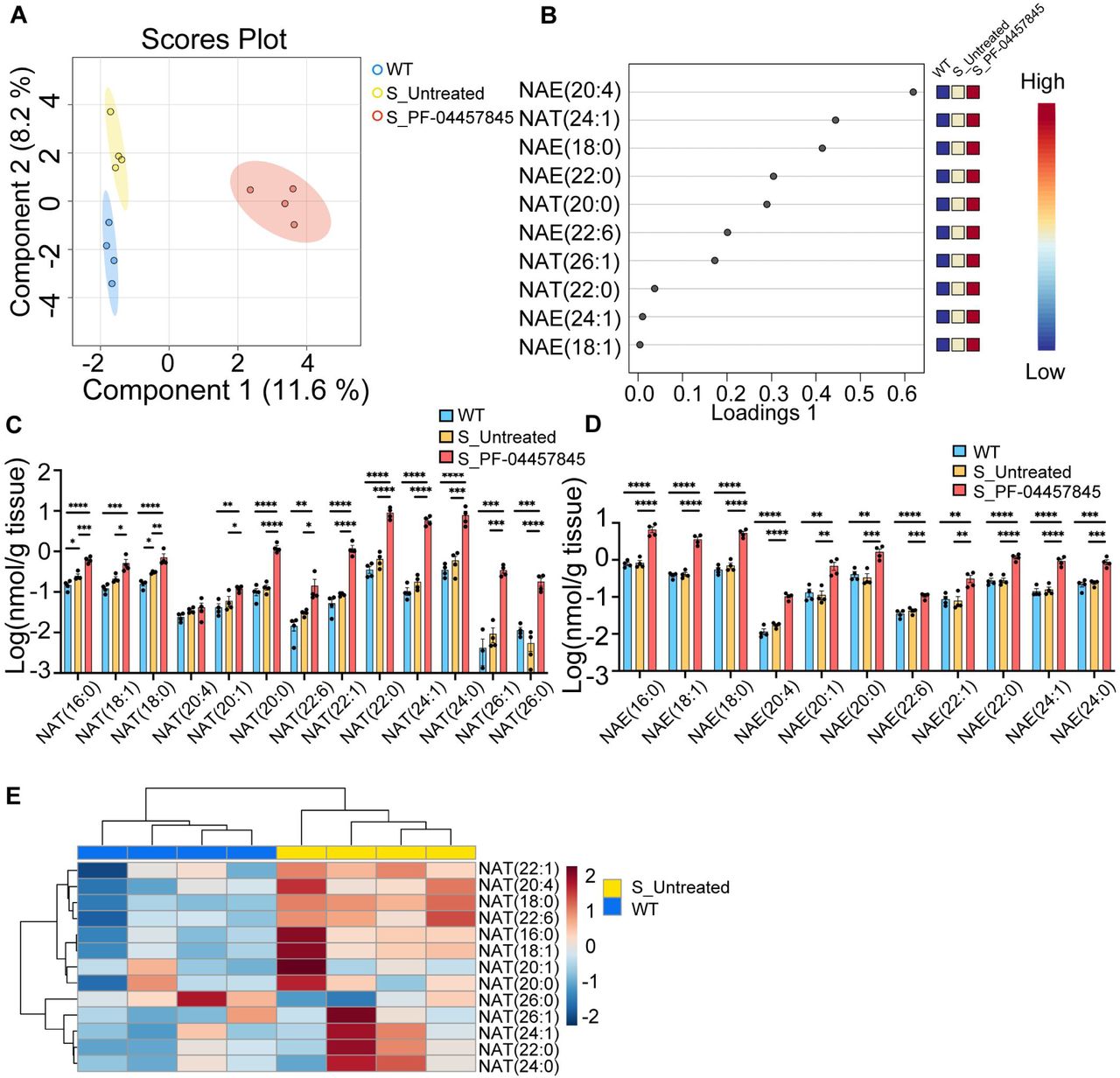 Lipidomics analysis of spinal cords of wild-type and SOD1G93A transgenic mice with or without treatment with PF-04457845(A) Sparse partial least squares discriminant analysis (sPLS-DA) plots by MetaboAnalyst 5.0 to discriminate wild-type mice (WT, n = 4), untreated SOD1G93A transgenic mice (S_Untreated, n = 4) and SOD1G93A transgenic mice treated with PF-04457845 (S_PF-04457845, n = 4). Loading plots of the top 10 lipids by sPLS-DA are shown in (B). (C) Log transformed concentration of N-acyl taurines (NAT). (D) Log transformed concentrations of N-acyl ethanolamine (NAE). (E) Heatmap analysis by N-acyl taurines comparing untreated SOD1G93A transgenic mice and wild-type mice.Data informationError bars indicate the SEM. *p < 0.05, **p < 0.01 and ***p < 0.001, ****p < 0.0001. One-way ANOVA and Tukey’s post hoc analysis were performed.