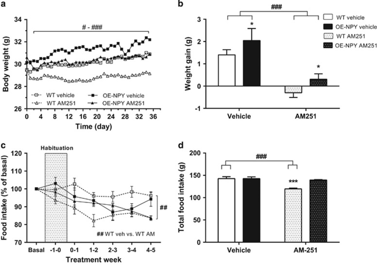 Body weight gain and food intake. (a) Body weight development and (b) total weight gain during the CB1 inverse agonist treatment period. (c) Weekly food intake as a percentage of basal food intake during the habituation and treatment and (d) total cumulative food intake during the treatment period. Values are expressed as means±s.e.m., n=9–12. #P<0.05, ##P<0.01, ###P<0.001 comparing different treatments within one genotype. *P<0.05, ***P<0.001 comparing different genotypes within one treatment. Analyzed with (a, c) repeated measures ANOVA or (b, d) two-way ANOVA.