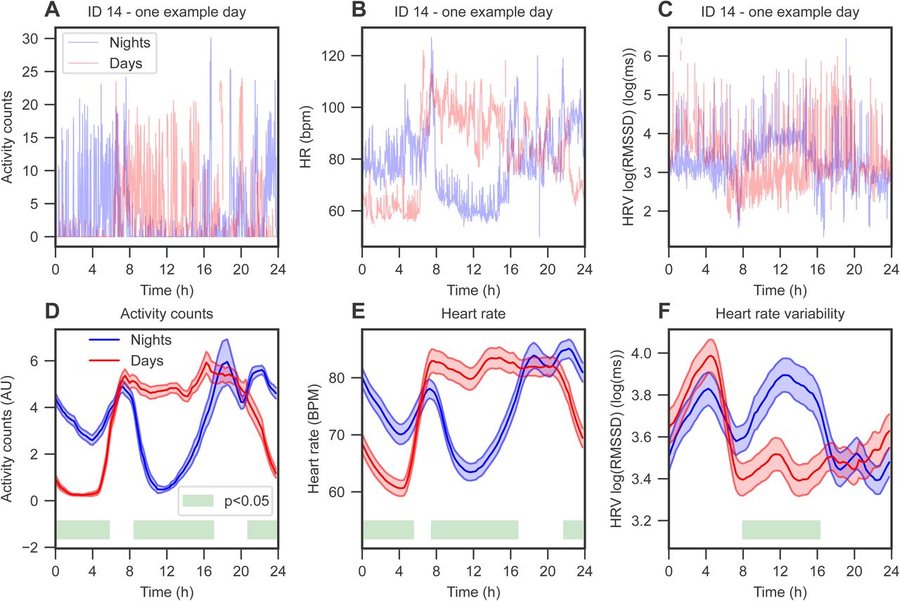 The mean 24-hour profiles of activity (in arbitrary units, AU), heart rate (HR) and heart rate variability (HRV) are perturbed during night shifts. (A-C) Examples from participant ID 14 of one day of measurements for activity counts, HR, and HRV, respectively. Blue, night shifts; red, day shifts. (D-F) The 2-hour moving average over the 24-hour clock of activity counts, HR, and HRV (log(RMSSD)), respectively. Blue, night shifts; red, day shifts. The shaded area represents the mean ± SEM, and the green bar represents significant group differences as assessed from p<0.05 in a Wilcoxon non-parametric test, adjusted for multiple testing with the Benjamini-Hochberg procedure. n = 43 for all analyses. See also Supplemental Table 6.