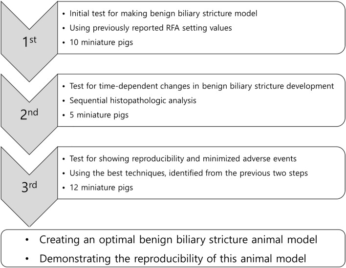 Schematic diagram of the experimental steps for the study outcomes.