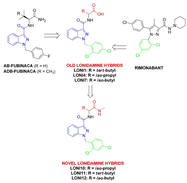 Chemical modifications applied to lonidamine structure in the design of novel compounds LONI10-12.