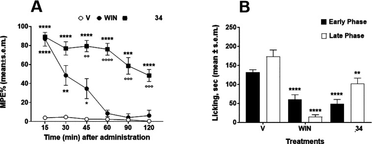 (A) Anti-nociceptive effect of WIN55,212-2 (WIN), 34, and vehicle (V, saline 0.1% v/v DMSO) at the dose of 10 μg/10 μL after intracerebroventricular (i.c.v.) administration in the hot plate test. The anti-nociceptive activity is expressed as percentage of the maximum possible effect (%MPE ± SEM). *p < 0.05, **p < 0.01, ***p < 0.001, and ****p < 0.0001 vs V (vehicle-treated animals); °°p < 0.01, °°°p < 0.001, and °°°°p < 0.0001; N = 7. (B) Effects induced in the early phase (white bars) and in the late phase (black bars) of the formalin test by vehicle (V, DMSO:saline 1:3 (v/v)), 34, and WIN55,212-2 (WIN). 34 and WIN were injected subcutaneously (s.c.) at a single dose (100 μg in 20 μL) 15 min before formalin injection (20 μL s.c.). Early: Licking activity recorded from 0 to 10 min after formalin administration. Late: Licking activity recorded from 15 to 40 min after formalin administration. The results obtained are expressed as the mean ± SEM; **p < 0.01 and ****p < 0.0001 vs V; N = 7.
