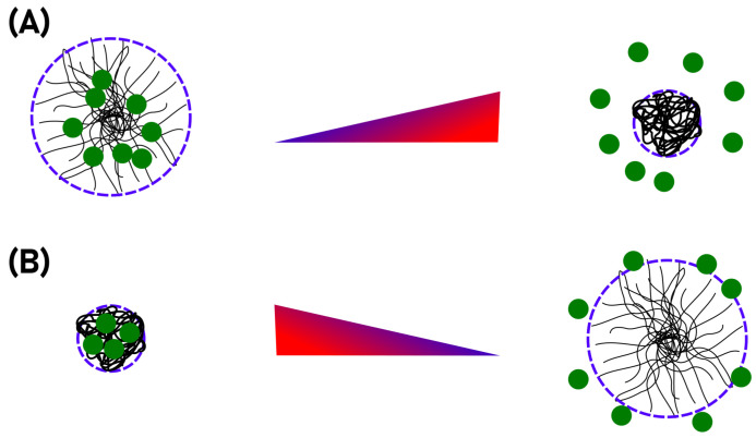 Two main concepts of microgel usage as drug carrier. In a hyperthermia treatment, the drug is loaded into the swollen gel and upon temperature increase it is pressed out of the polymer network alongside the solvent (A). Extremely hydrophobic substances may also be loaded in the collapsed state and released from the network into an hydrophobic environment upon swelling connected to a temperature decrease (B).