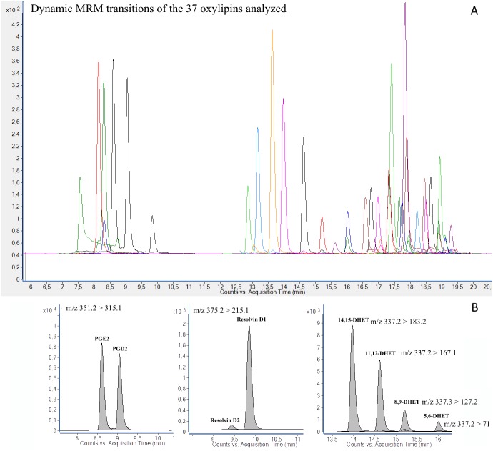 MRM chromatograms of each analyte analyzed in a standard solution mixture (A) and separation of critical pairs of isomers (B).