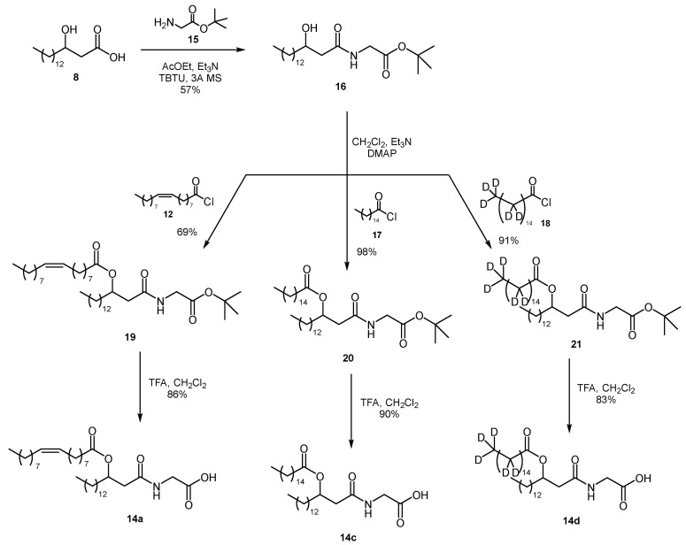Modified synthetic sequence for the production of N-(3-acyloxyacyl)glycines 14.