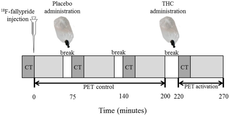 PET emission protocol conform the one-day PET imaging protocol for 18F-fallypride described and used previously by Christian and colleagues [34], modified according to simulation studies showing possible improvements in the experiment design that can increase the detection sensitivity of DA release in the striatum [37].