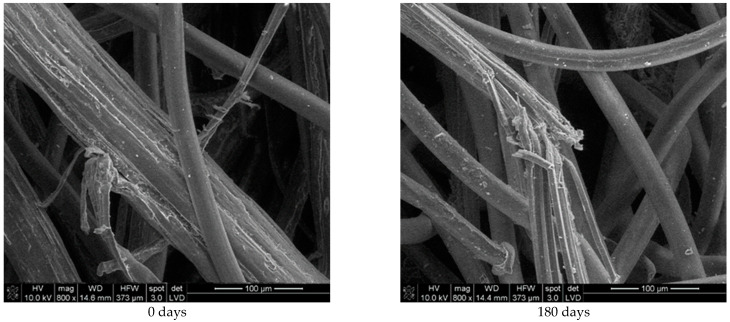 SEM images (×800) of jute and PLA fibres from unexposed nonwoven mulches (0 days) and mulches exposed for 180 days to environmental conditions.