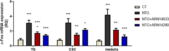 C-fos mRNA levels (expressed as relative quantification, RQ) in trigeminal ganglion (TG) and cervical spinal cord (CSC) ipsilateral to formalin injection and medulla in toto of animals treated with NTG vehicle (CT), NTG, NTG + ARN14663 and NTG + ARN14280 (n. 9 per group). Data are expressed as mean ± SEM; one-way ANOVA followed by Tukey’s multiple comparisons test; *p < 0.05 and ***p < 0.001 vs CT; °°p < 0.01 and °°°p < 0.001 vs NTG