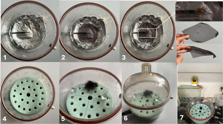Experimental setup for hair exposure to cigarette smoke. (1) Preparation of the desiccator chamber with aluminum foil lining to prevent contamination. (2) Aluminum foil-lined chamber with an electrical burner placed at the center. (3) Placement of cigarette tobacco on a metal mesh above the burner. (4) Insertion of a perforated platform to hold hair samples above the smoke source. (5) Hair samples and control vials of water and methanol placed on the perforated platform. (6) Assembled desiccator chamber with a sealed lid to contain smoke during exposure. (7) Monitoring of oxygen levels and CO release using a portable BW CLIP 4 multigas detector during the smoking process.