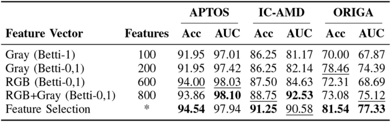 Ablation Study.Accuracy results of our Topo-ML model with different subsets of feature vectors for the default setting for each dataset as described in Sec.V-C.