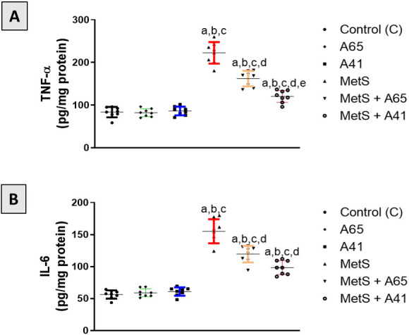 Effect of AM6545 or AM4113 treatment on prostate content of TNF-α and IL-6 in MetS-induced BPH in rats. The MetS rats were treated with 10 mg/kg AM6545 or AM4113 daily for four weeks. The concentration of (A) TNF-α and (B) IL-6 were determined in the prostate tissue. A65 is the AM6545-treated group, A41 is the AM4113-treated group, MetS is the metabolic syndrome group, and MetS + A65 or MetS+ A41 groups are MetS groups treated with AM6545 or AM4113, respectively Data are expressed as mean ± S.D. (n ═ 8). a, b, c, d, or e indicates a significant difference from the control, A65, A41, MetS, or MetS+A65 groups, respectively, at P < 0.05 using one-way ANOVA followed by Tukey’s post hoc test. TNF-α: Tumor necrosis factor alpha; IL-6: Interleukin 6; MetS: Metabolic syndrome; BPH: Benign prostatic hyperplasia; ANOVA: Analysis of variance; S.D.: Standard deviation.