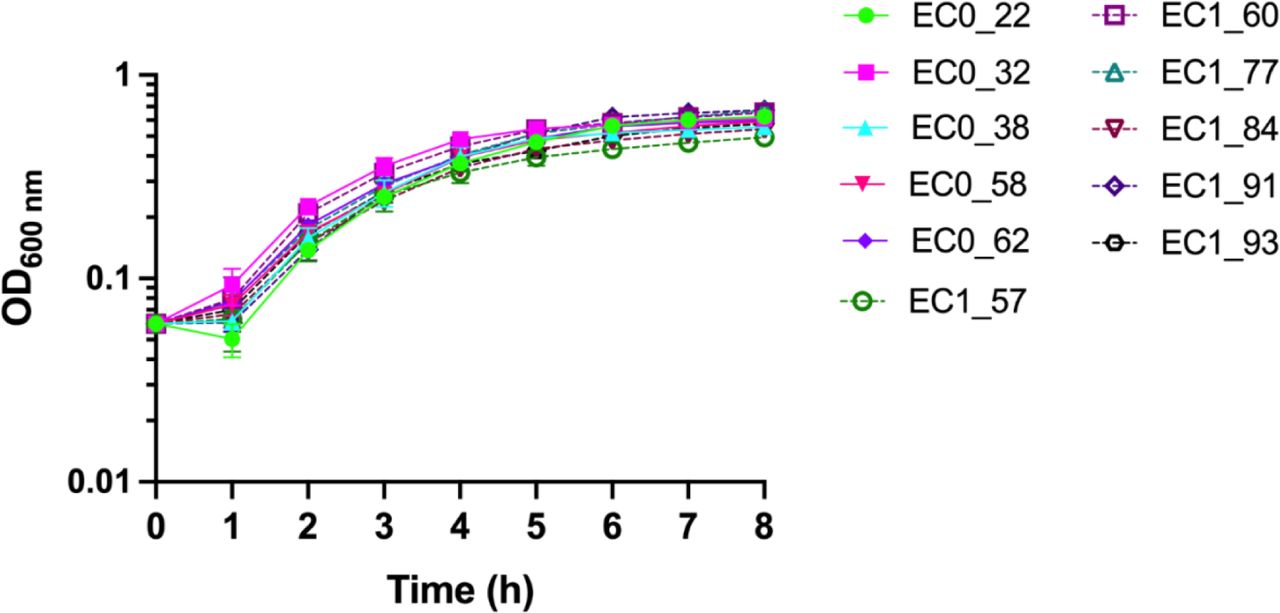 Growth in enhanced AUOvernight cultures of bacteraemia isolates were inoculated into pre-warmed enhanced artificial urine at a starting OD 600 nm of 0.06. Error bars represent the standard error of the mean of three biological replicates.