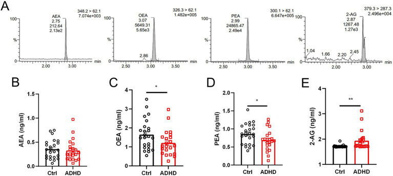 Graphs showing endocannabinoid levels in controls and ADHD patients. Panel A displays chromatograms for AEA, OEA, PEA, and 2-AG. Panels B, C, D, and E show bar graphs comparing these compounds between control (black) and ADHD (red) groups. Statistically significant differences are indicated with asterisks.