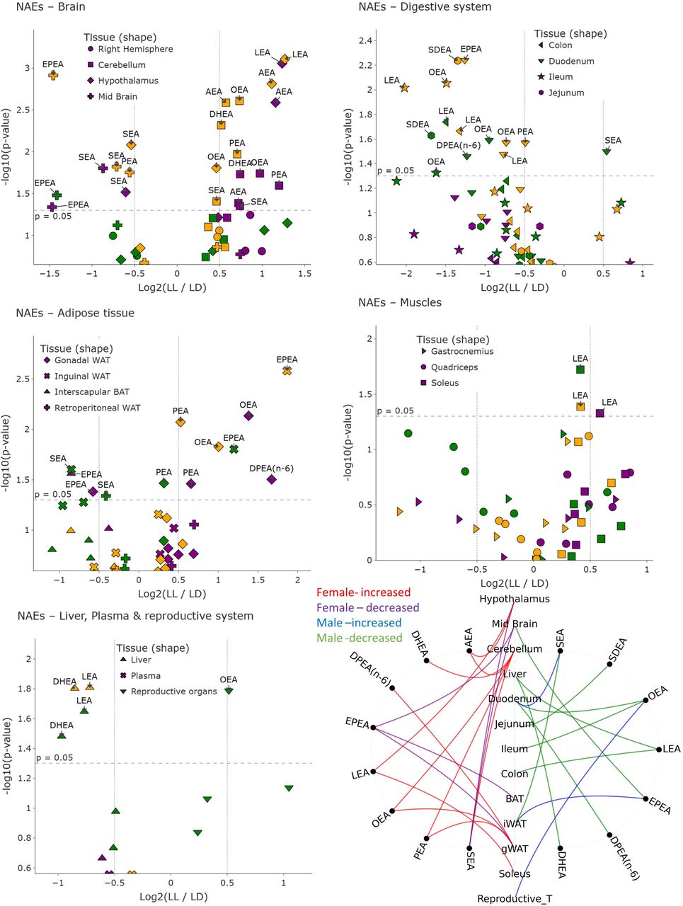 volcano plot of NAEs; volcano plot showing differential levels of N-acylethanolamines (NAEs) between LL and LD across all tissues analyzed. Each point represents one NAE measured in a specific tissue, with symbol shapes indicating the corresponding organ. Data are stratified by sex: females (purple), males (green), and combined (merged sexes; yellow). The x-axis shows the log□ fold change (LL/LD) and the y-axis shows the –log□□(p-value). Molecules above the dashed horizontal line reached nominal statistical significance (p < 0.05). Labels highlight representative significant lipid mediators in each tissue. Chord Diagram (summary figure of NAE changes; bottom right); Significant NAEs changes across tissues in female and male mice under constant light exposure. Tissue nodes are aligned vertically, molecules appear on sex-specific arcs, and curves indicate LL-vs-LD regulation colored by sex and direction.