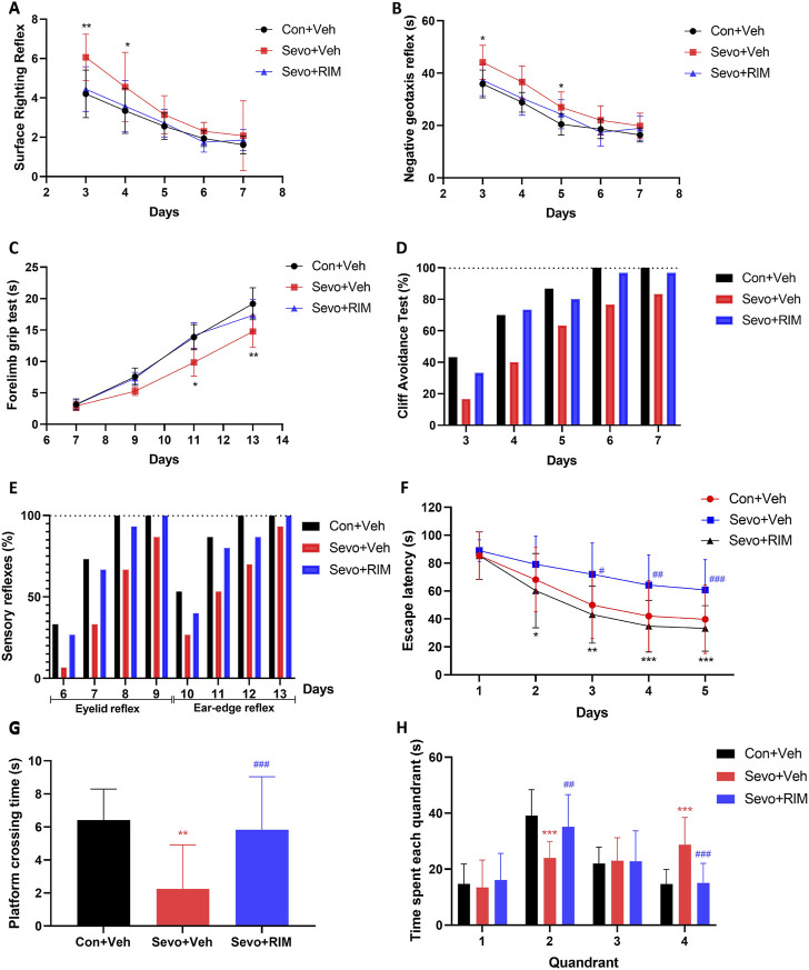 Maternal sevoflurane exposure caused dysfunction in neurobehaviors and cognitive memory in neonatal rats. Neurobehavioral tests (n = 12 per group) were performed during P3–13 and included surface righting reflex (A), negative geotaxis reflex (B), forelimb grip test (C), cliff avoidance test (D), and sensory reflexes (E). The MWM tests (n = 12 per group) were carried out during P28–33. Escape latency (F), the times of crossing the platform (G), and time spent in each quadrant (H) were recorded. Data are depicted as mean ± S.E.M. *p < .05, **p < .01, vs. the Con + Veh group; #p < .05, vs. the Sevo + Veh group.