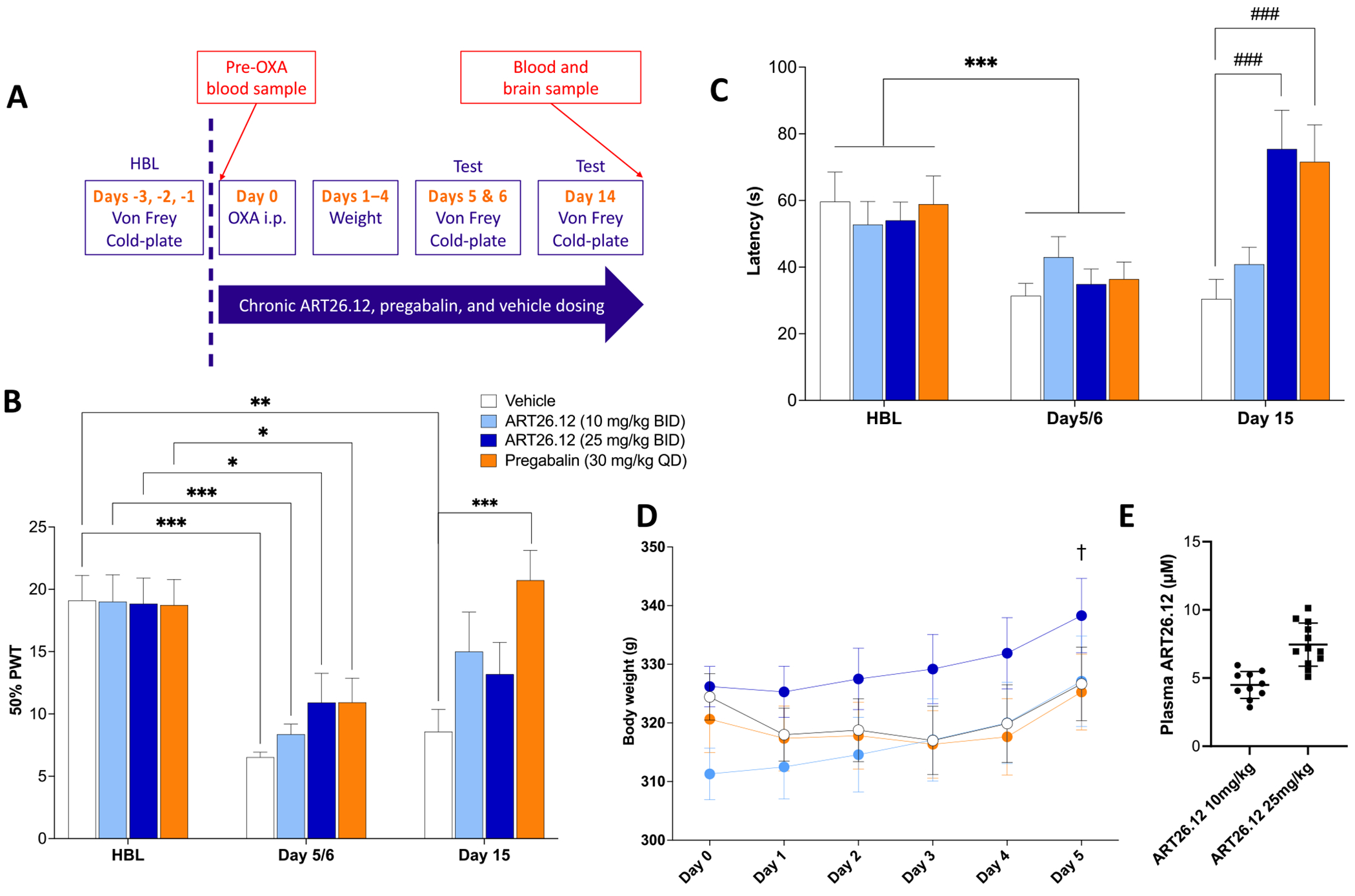Prevention of OIPN with chronic dosing of ART26.12. OIPN was induced by a single IP dose of OXA on Day 0 with HBL measured on Days −1/−2, respectively. ART26.12 and pregabalin were chronically administered PO from Days 0 to 14 at multiple doses (A). PWT and cold-plate latencies were measured on Days 5/6 and 14 (B, C). Bodyweight measurements taken on Days 1 to 14 (D). Plasma and brain concentrations of ART26.12 were measured on Day 14 (E). Vehicle n = 9, ART26.12 (10 mg/kg BID) n = 10, ART26.12 (10 mg/kg BID) n = 12, pregabalin n = 11. *P < .05, **P < .01, ***P < .001 when comparing between healthy baseline and Day 7. ###P < .001 when comparing between drug treatment and the respective day’s vehicle. HBL, healthy baseline; IP, intraperitoneally; OIPN, oxaliplatin-induced peripheral neuropathy; OXA, oxaliplatin; PO, orally; PWT, paw withdrawal threshold.