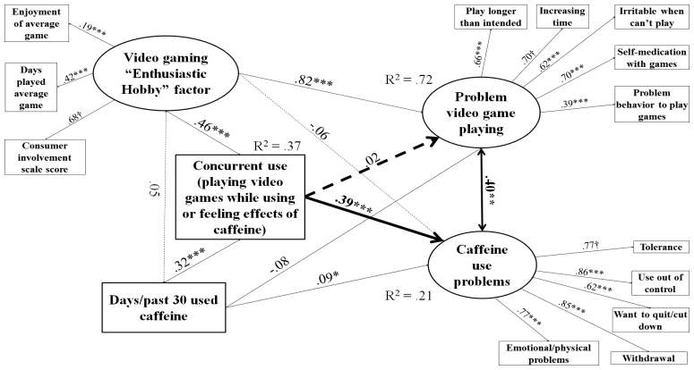Structural equations model for effect of concurrent use on PVP and caffeine use problems among caffeine users.N = 1,961. Root mean square error of approximation (RMSEA) = 0.035, Comparative fit index (CFI) = 0.893. Tucker-Lewis index (TLI) = 0.850. Heavy lines indicate paths testing study hypotheses, light lines indicate control/measurement model paths. Solid lines indicate significant paths, and dashed lines indicate non-significant paths. Coefficients standardized after estimation; † indicates parameter constrained to be 1 for estimation. Model controls for age, educational level, gender, income, employment status, and race. * p < 0.05, ** p < 0.01, *** p < 0.001.