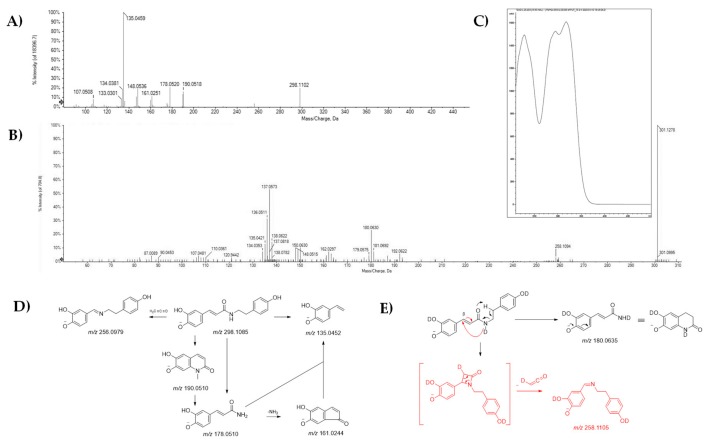 TOF-MS/MS spectra of compound 5 (A) and of its 3d-derived (B). UV-DAD spectrum of the compound (C). Proposed fragmentation pathway of the [M − H]− ion for compound 5 (D) and the 3d-derived (E); theoretical m/z value is reported below each structure.
