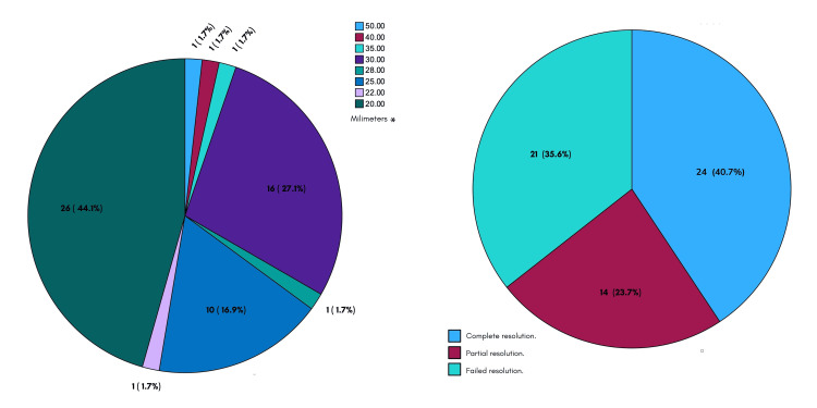 Frequencies per stone size and endoscopic resolution frequencies in GC.GC: giant choledocholithiasis. * Size not specified in two cases.