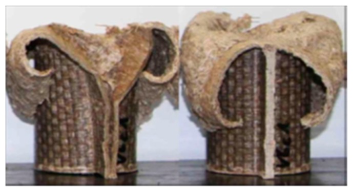 Rear and front part of V6_c specimen after crash test.