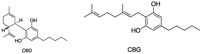 Structures of cannabinoids active against S. aureus, MRSA, and S. pyogenes; CBD is also active against VRSA. The list of abbreviations used in this Figure are given at the end of this article.
