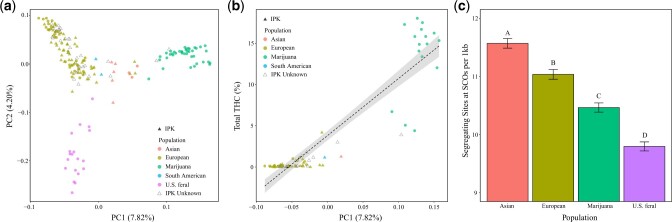 The population structure of C. sativa. a) Genome-wide PCA showing clustering and classification of samples. Color of points indicates subpopulation assignment while triangles indicate samples obtained from the Institute of Plant Genetics. b) Correlation between PC1 and mean % total THC for 71 accessions. The black line indicates the regression slope while the gray surrounding area indicates the 95% confidence interval. c) Bar plots showing the comparison of the mean (± standard error) proportion of segregating sites at SCOs. Letters above bars indicate significance of Tukey-adjusted pairwise comparisons such that subpopulations with different letters possess significantly different proportions of segregating sites.