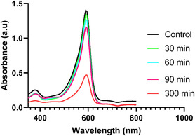 Photocatalytic activity of IONPs on the degradation of Brompenol Blue prepared by Biogenic method.