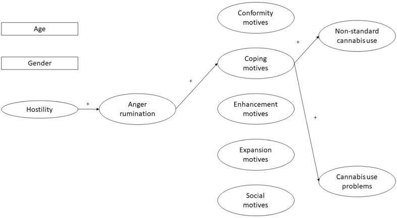 The hypothesized mediating effect of anger rumination and coping motives between hostility and problematic cannabis use. Positive signs indicate the assumed positive associations between the variables. The effect of age and gender was controlled in the analyses. In the complete mediation model all regression effects and indirect effects were estimated (not shown in this figure to ease the interpretation).