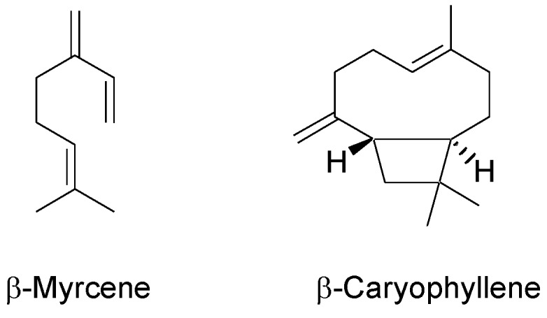 Chemical structures of main terpenes in hemp inflorescences.