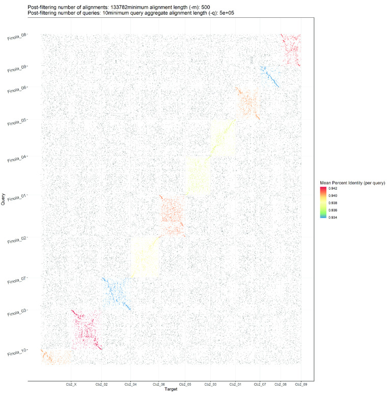 Dot plot showing alignments of Cannbio-2 sequence assembly to the whole genome sequence assembly of Finola.