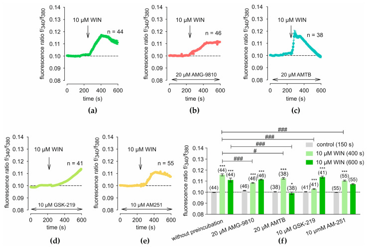 WIN 55,212-2 (WIN)-induced Ca2+ responses and modulation by TRP channel blockers and AM251. The point in time at which WIN was added is shown by an arrow. The fluorescence ratios were normalized to baseline conditions (control set to 0.1, dashed line). (a) Treatment with WIN at 240 s leads to a transient increase in f340/f380 (n = 44). (b) Preincubation with 20 µM AMG results in a reduced increase in f340/f380 (n = 46). (c) Preincubation with 20 µM AMTB results in a stronger recovery compared to that in (a) (n = 38). (d) Preincubation with 10 µM GSK219 causes a delay in the increase of the Fura f340/f380 compared to (a) (n = 41). (e) Preincubation with 10 µM AM251 results in a lower maximum f340/f380 compared to the control measurement (n = 55). (f) A statistical analysis of the measurements shown in panels (a–e) is presented. Mean values ± SEM are shown at 150 s, 400 s, and 600 s. The numbers in brackets above the columns indicate the number of single cells measured (n). Asterisks (*) indicate statistical significance in paired data (* p < 0.05, *** p < 0.001), whereas hashtags (#) indicate statistical significance in unpaired data (# p < 0.05, ### p < 0.001). Statistical significance was defined as p < 0.05.
