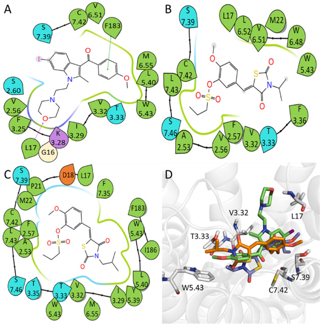 2D ligand–residue interaction diagrams for CB2 antagonists using the representative MD conformations. (A) AM630, (B) compound 39, (C) compound 40, and (D) superposition of AM630 (green), compound 39 (purple), and compound 40 (orange) and their interacting residues.