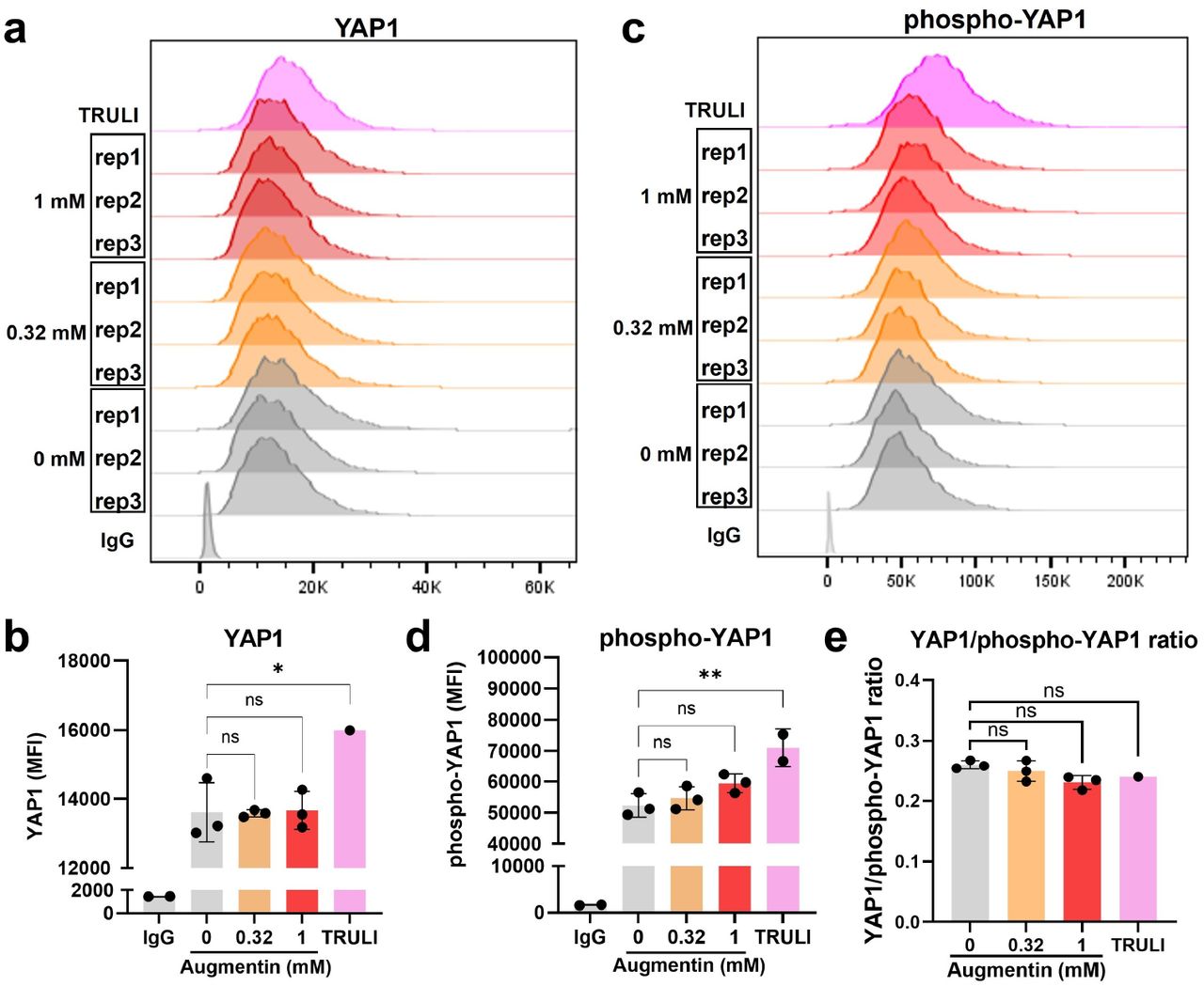 Effects of Augmentin-stress on the cholangiocyte malignancy marker YAP1.(a-b) H69 cholangiocytes were stressed with Augmentin at 0.32 and 1 mM for 48 h. After exposure, flow cytometry was performed to evaluate YAP1, a selected cholangiocyte malignancy marker (a), for its comparison based on mean-fluorescence intensities (MFIs, b). TRULI, a reported small-molecule YAP activator, was used as a positive control (10 μM, 48 h). (c-d) Flow cytometry was performed to evaluate the phosphorylated form of YAP1 (c) and MFI (d). (e) Ratio of YAP1/phospho-YAP1.