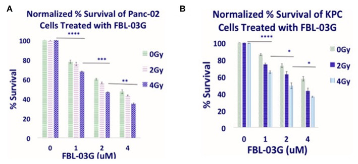 In-vitro anti-cancer effect of FBL-03G. FBL-03G drug from flavonoids shows anti-cell proliferation effects in combination with radiotherapy. Average results of normalized clonogenic assays are shown, respectively, for Panc-02 and KPC cells. (A,B) Results of synergistic outcomes when combining radiotherapy at 4Gy with different FBL-03G doses. Statistics is shown for cohorts treated at 4Gy at different doses of FBL-03G. Statistical Analyses using Student's T-Test for the Cell % survival at different concentrations of FBL-03G graphs (n = 3 independent trials), (*P < 0.05; **P < 0.01; ***P < 0.001; ****P < 0.0001).
