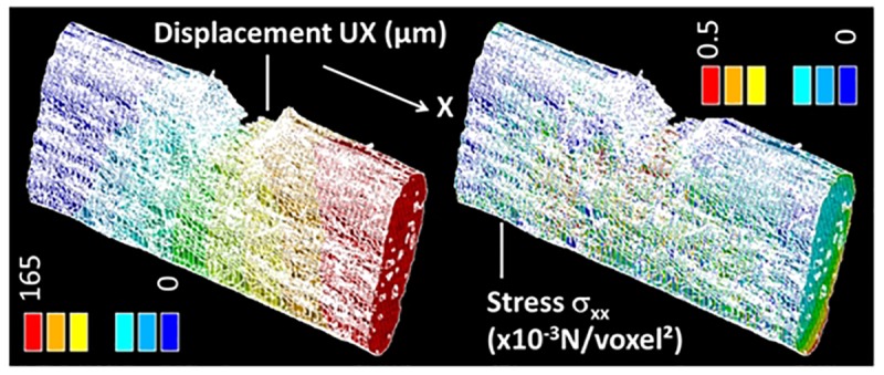 Finite element (FE) computation results showing the displacement component UX and stress component σXX for a typical tensile loading by 8% with respect to the original length in X-direction of a hemp bundle with a U-notch (FXU4).